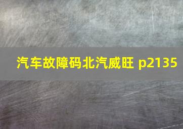 汽车故障码北汽威旺 p2135